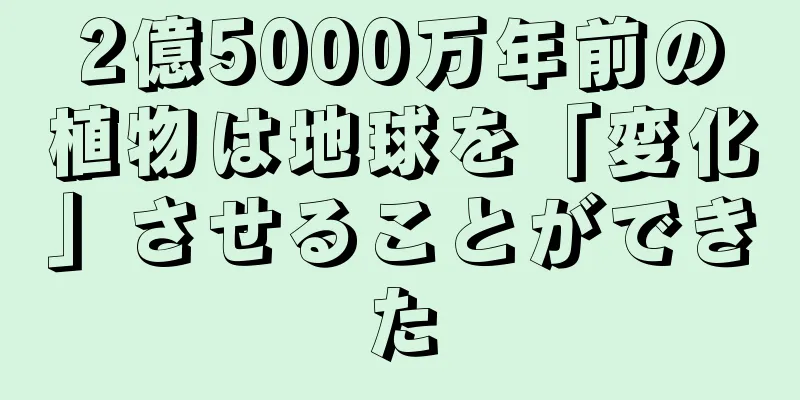 2億5000万年前の植物は地球を「変化」させることができた