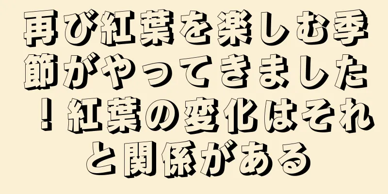 再び紅葉を楽しむ季節がやってきました！紅葉の変化はそれと関係がある