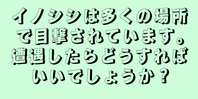 イノシシは多くの場所で目撃されています。遭遇したらどうすればいいでしょうか？