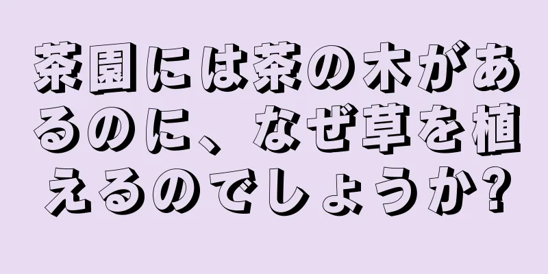 茶園には茶の木があるのに、なぜ草を植えるのでしょうか?