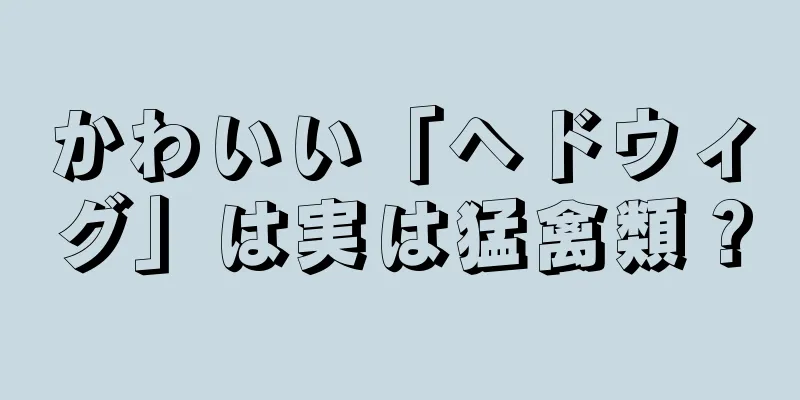 かわいい「ヘドウィグ」は実は猛禽類？