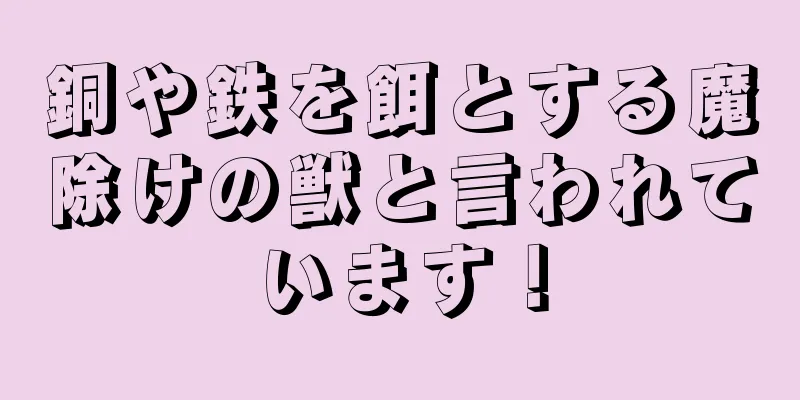 銅や鉄を餌とする魔除けの獣と言われています！