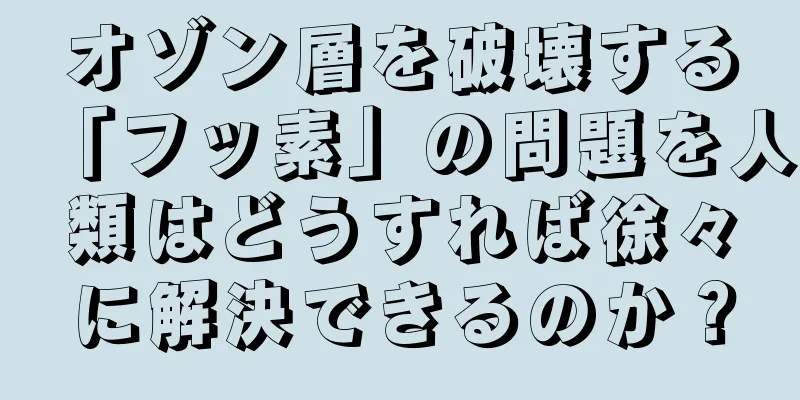 オゾン層を破壊する「フッ素」の問題を人類はどうすれば徐々に解決できるのか？