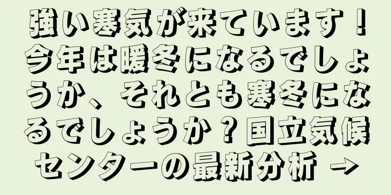 強い寒気が来ています！今年は暖冬になるでしょうか、それとも寒冬になるでしょうか？国立気候センターの最新分析 →