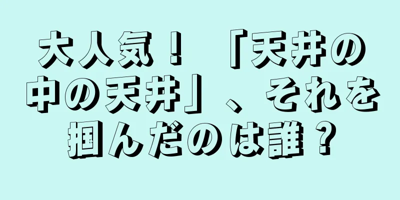 大人気！ 「天井の中の天井」、それを掴んだのは誰？