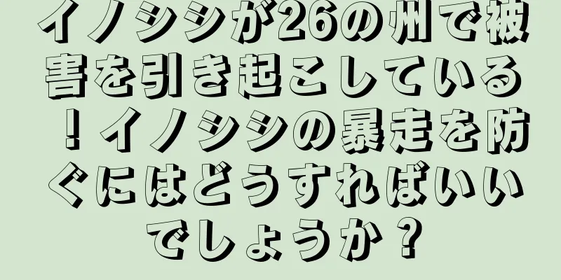 イノシシが26の州で被害を引き起こしている！イノシシの暴走を防ぐにはどうすればいいでしょうか？