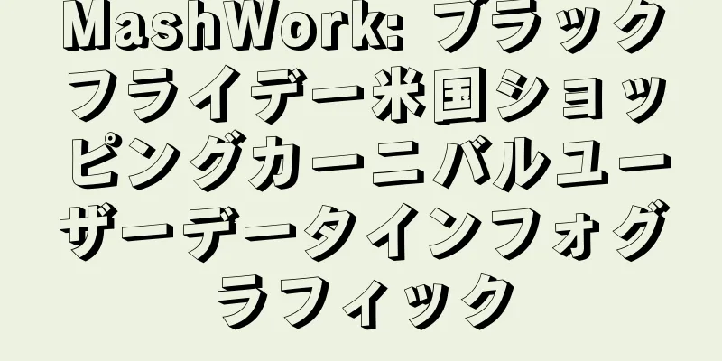 MashWork: ブラックフライデー米国ショッピングカーニバルユーザーデータインフォグラフィック