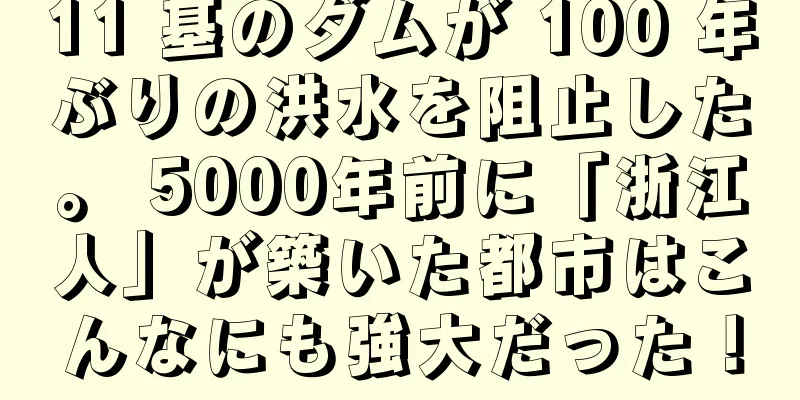 11 基のダムが 100 年ぶりの洪水を阻止した。 5000年前に「浙江人」が築いた都市はこんなにも強大だった！