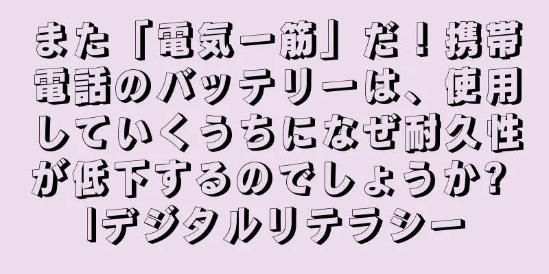 また「電気一筋」だ！携帯電話のバッテリーは、使用していくうちになぜ耐久性が低下するのでしょうか? |デジタルリテラシー