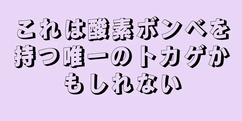 これは酸素ボンベを持つ唯一のトカゲかもしれない