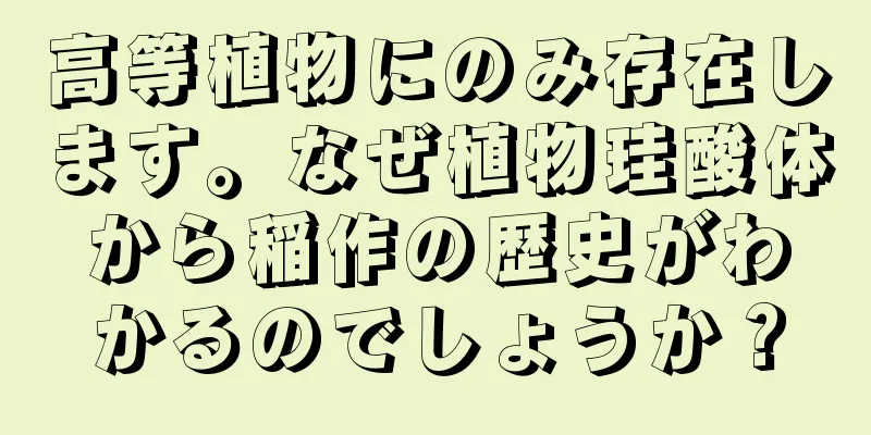 高等植物にのみ存在します。なぜ植物珪酸体から稲作の歴史がわかるのでしょうか？