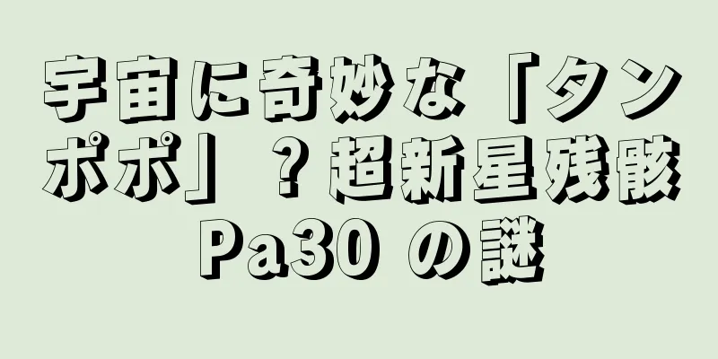 宇宙に奇妙な「タンポポ」？超新星残骸 Pa30 の謎