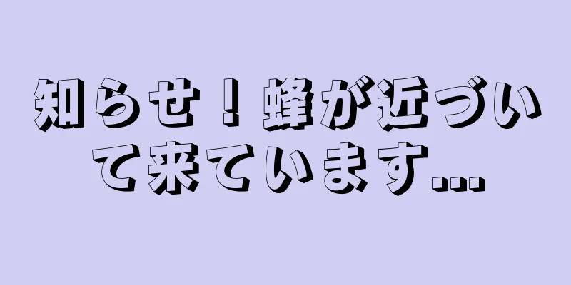 知らせ！蜂が近づいて来ています...