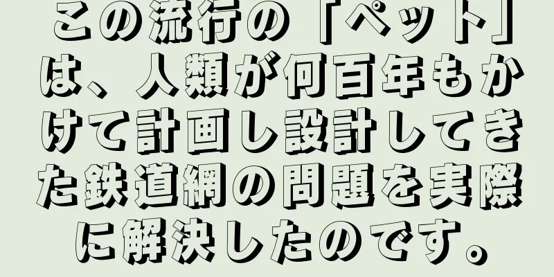 この流行の「ペット」は、人類が何百年もかけて計画し設計してきた鉄道網の問題を実際に解決したのです。