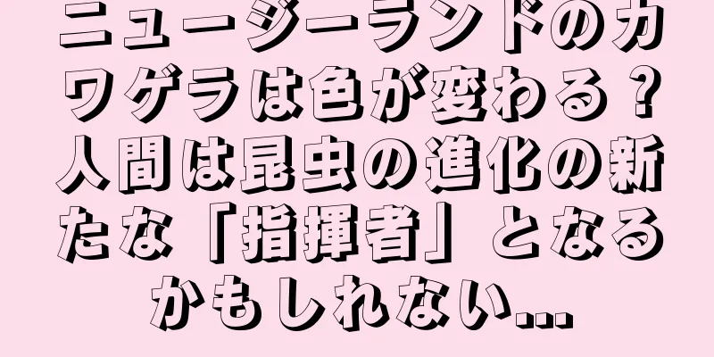 ニュージーランドのカワゲラは色が変わる？人間は昆虫の進化の新たな「指揮者」となるかもしれない...