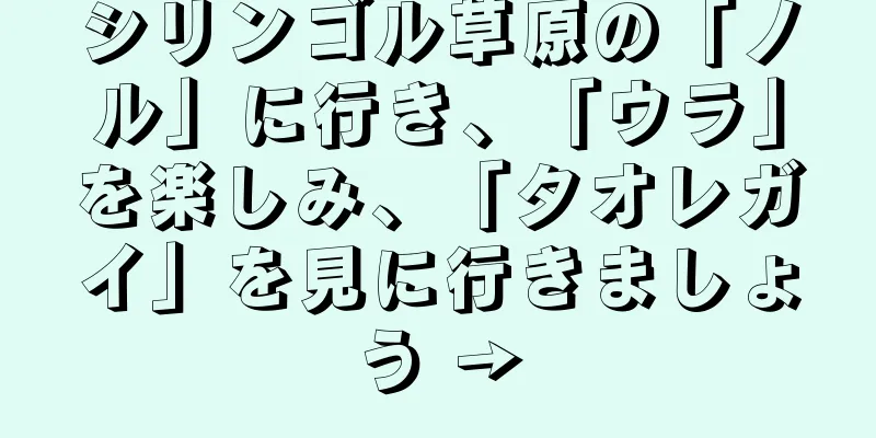 シリンゴル草原の「ノル」に行き、「ウラ」を楽しみ、「タオレガイ」を見に行きましょう →