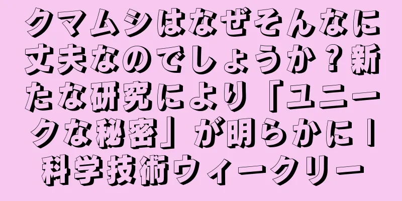 クマムシはなぜそんなに丈夫なのでしょうか？新たな研究により「ユニークな秘密」が明らかに |科学技術ウィークリー