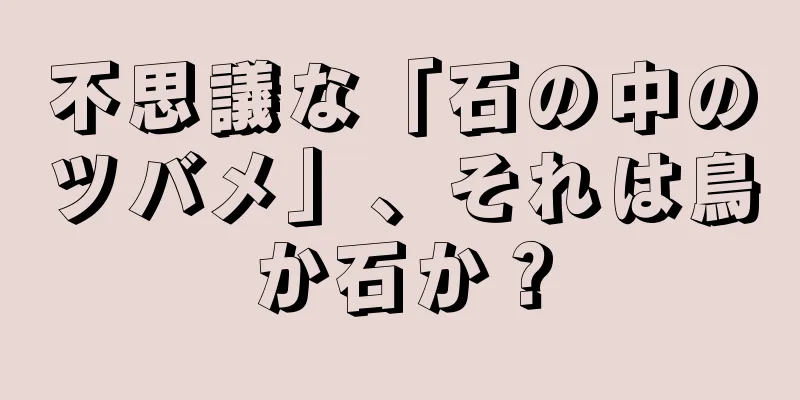 不思議な「石の中のツバメ」、それは鳥か石か？