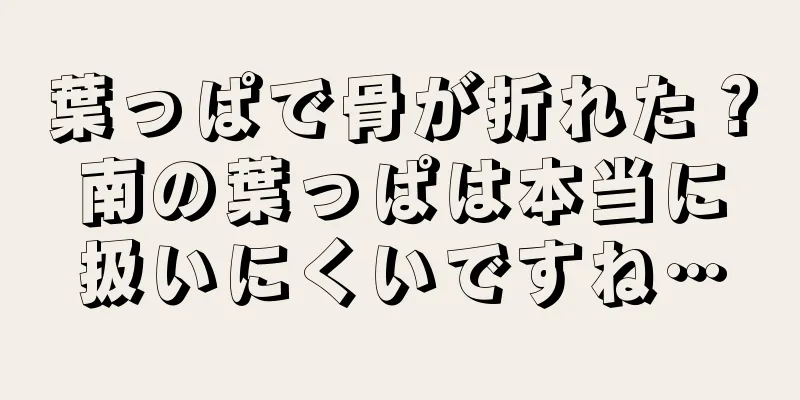 葉っぱで骨が折れた？南の葉っぱは本当に扱いにくいですね…