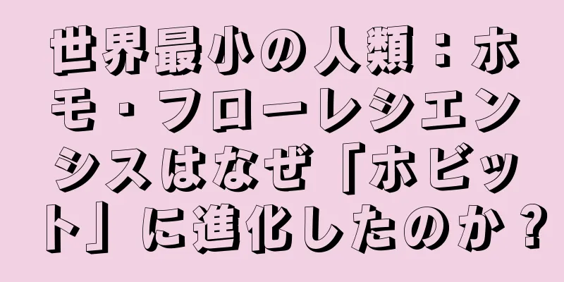 世界最小の人類：ホモ・フローレシエンシスはなぜ「ホビット」に進化したのか？