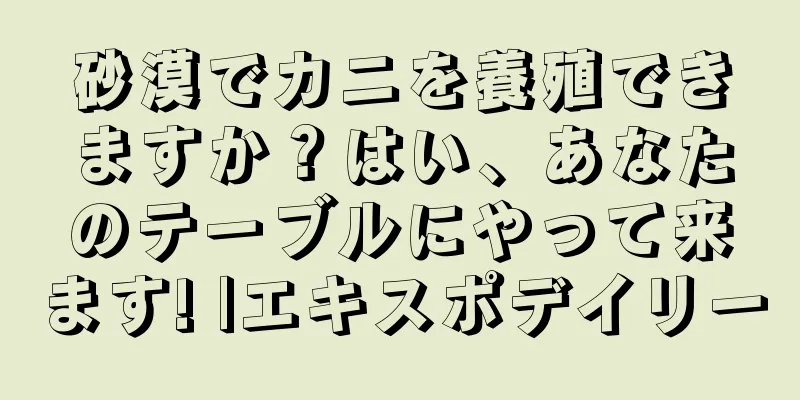 砂漠でカニを養殖できますか？はい、あなたのテーブルにやって来ます! |エキスポデイリー