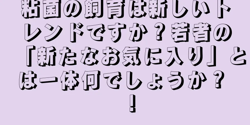 粘菌の飼育は新しいトレンドですか？若者の「新たなお気に入り」とは一体何でしょうか？ ！