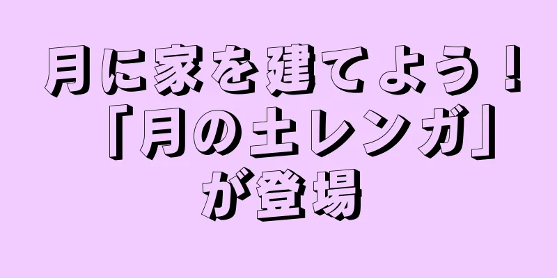 月に家を建てよう！ 「月の土レンガ」が登場