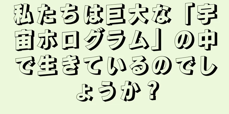 私たちは巨大な「宇宙ホログラム」の中で生きているのでしょうか？