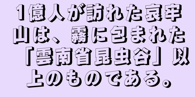 1億人が訪れた哀牢山は、霧に包まれた「雲南省昆虫谷」以上のものである。