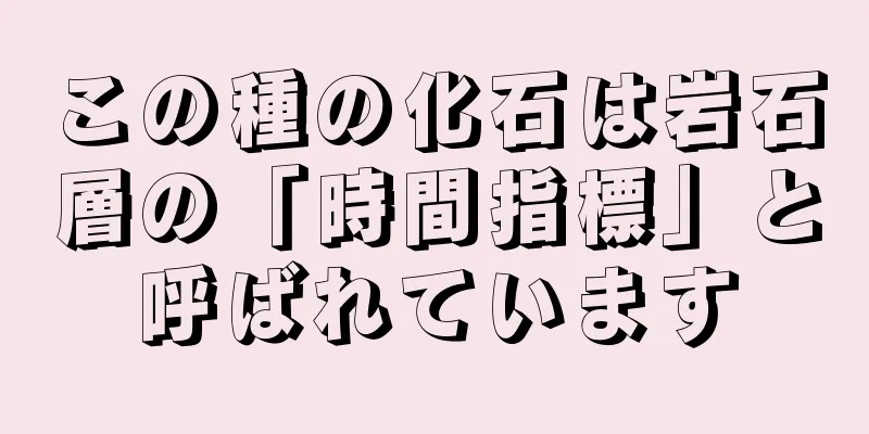 この種の化石は岩石層の「時間指標」と呼ばれています