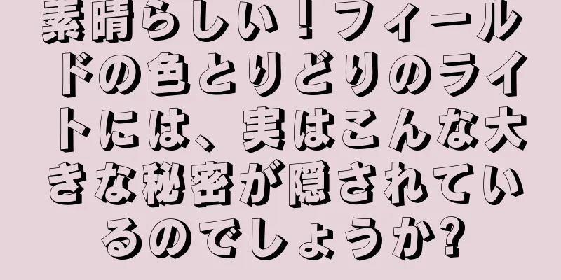素晴らしい！フィールドの色とりどりのライトには、実はこんな大きな秘密が隠されているのでしょうか?
