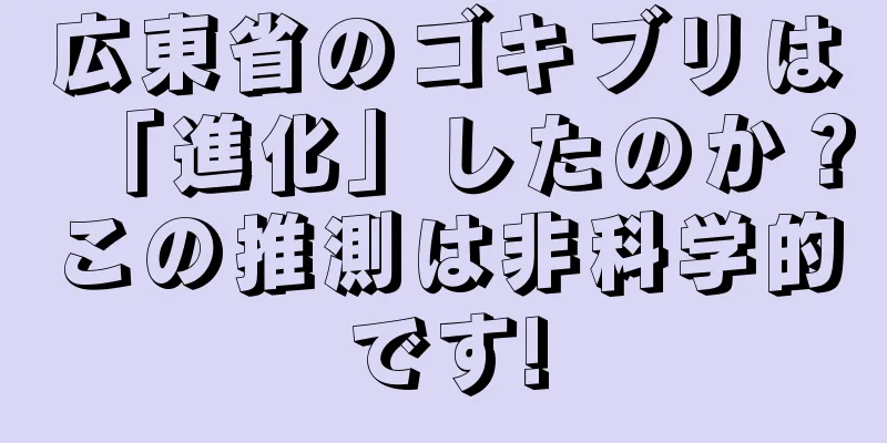 広東省のゴキブリは「進化」したのか？この推測は非科学的です!