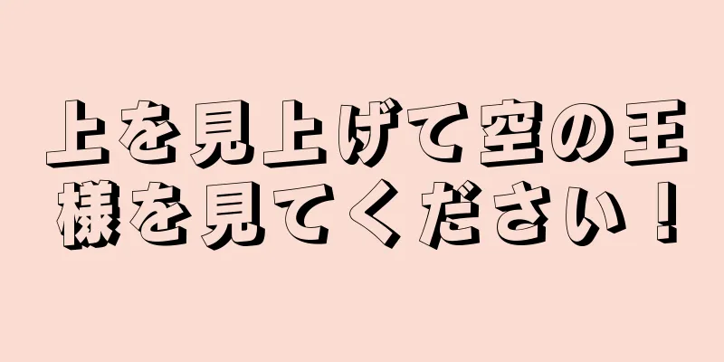 上を見上げて空の王様を見てください！