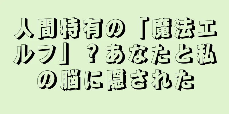 人間特有の「魔法エルフ」？あなたと私の脳に隠された