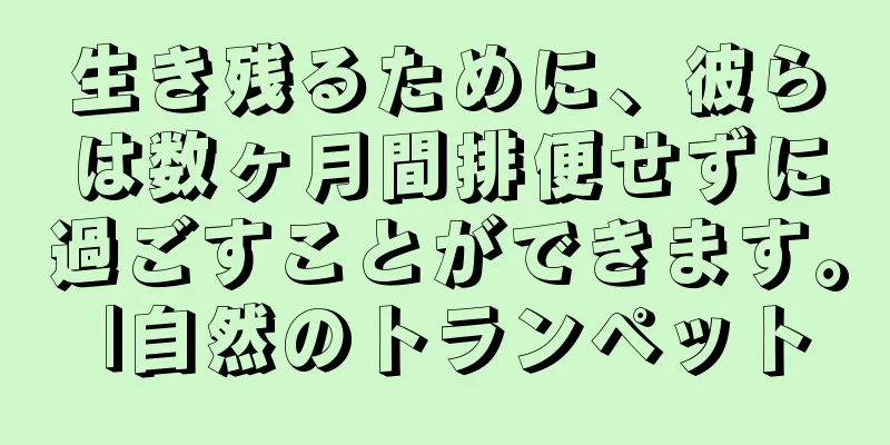 生き残るために、彼らは数ヶ月間排便せずに過ごすことができます。 |自然のトランペット