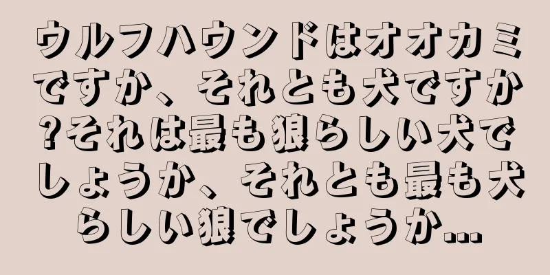ウルフハウンドはオオカミですか、それとも犬ですか?それは最も狼らしい犬でしょうか、それとも最も犬らしい狼でしょうか...