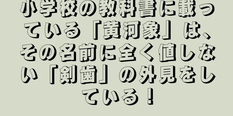 小学校の教科書に載っている「黄河象」は、その名前に全く値しない「剣歯」の外見をしている！