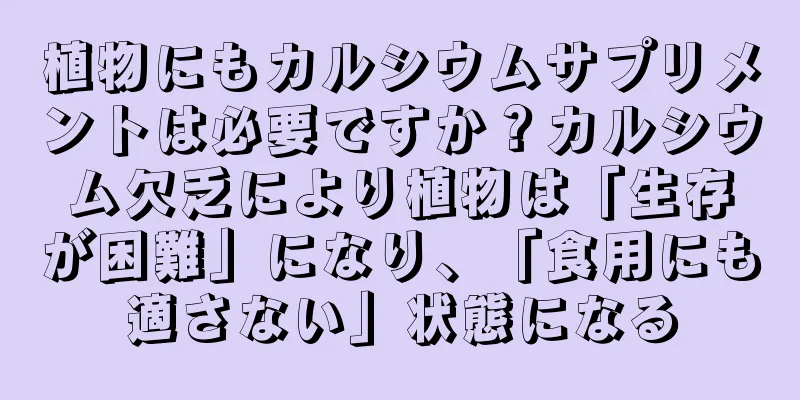 植物にもカルシウムサプリメントは必要ですか？カルシウム欠乏により植物は「生存が困難」になり、「食用にも適さない」状態になる