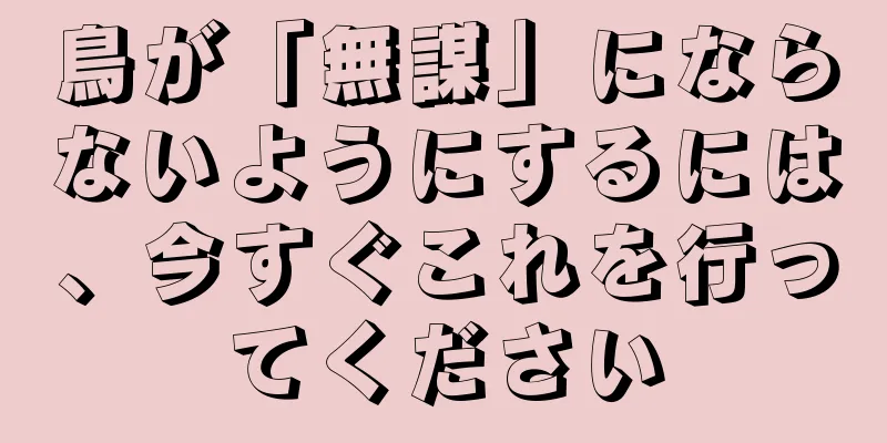 鳥が「無謀」にならないようにするには、今すぐこれを行ってください