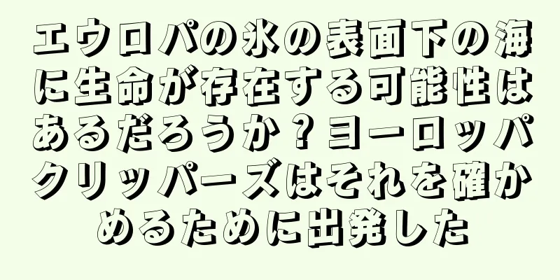 エウロパの氷の表面下の海に生命が存在する可能性はあるだろうか？ヨーロッパクリッパーズはそれを確かめるために出発した