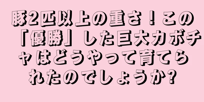 豚2匹以上の重さ！この「優勝」した巨大カボチャはどうやって育てられたのでしょうか?
