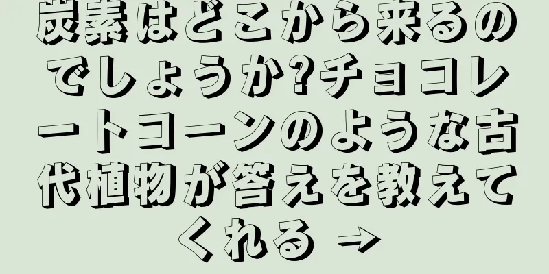 炭素はどこから来るのでしょうか?チョコレートコーンのような古代植物が答えを教えてくれる →
