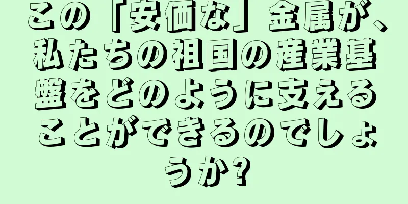 この「安価な」金属が、私たちの祖国の産業基盤をどのように支えることができるのでしょうか?