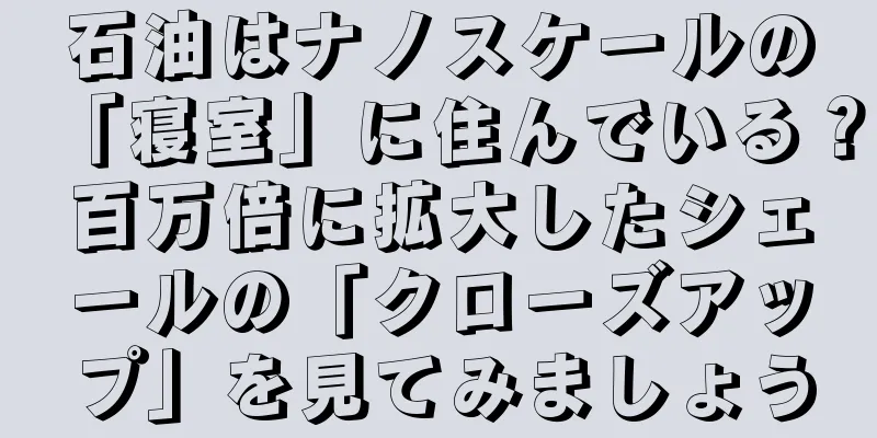 石油はナノスケールの「寝室」に住んでいる？百万倍に拡大したシェールの「クローズアップ」を見てみましょう