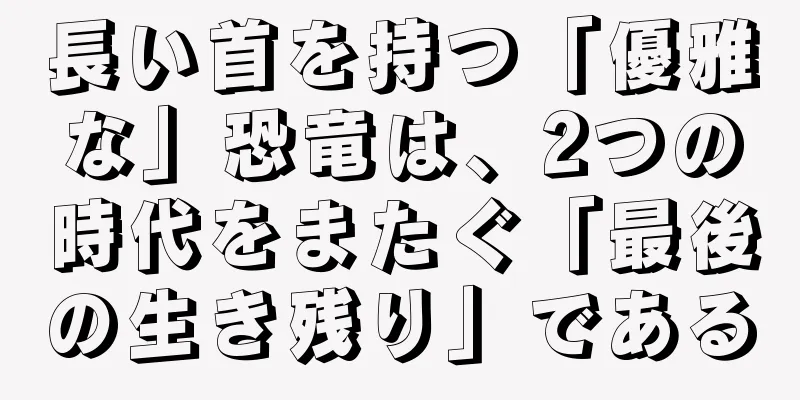 長い首を持つ「優雅な」恐竜は、2つの時代をまたぐ「最後の生き残り」である