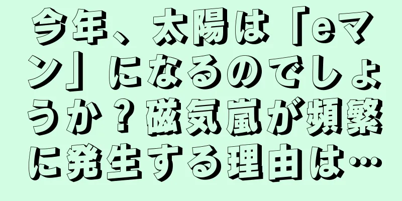 今年、太陽は「eマン」になるのでしょうか？磁気嵐が頻繁に発生する理由は…