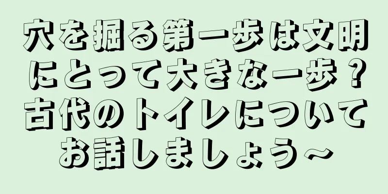 穴を掘る第一歩は文明にとって大きな一歩？古代のトイレについてお話しましょう〜