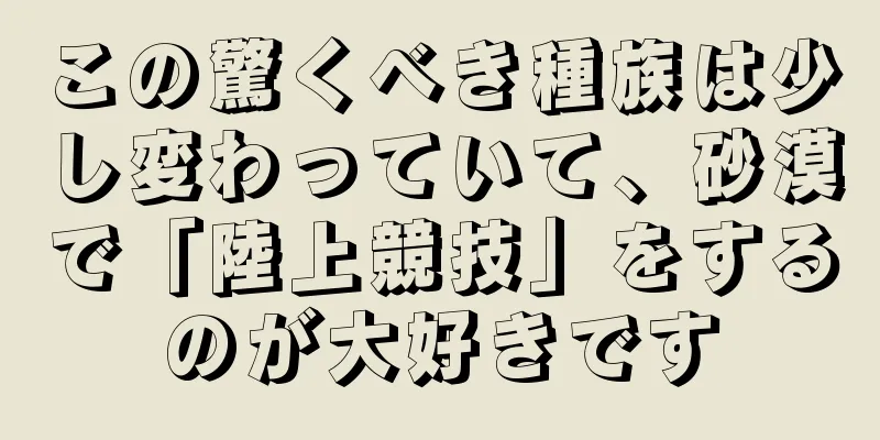 この驚くべき種族は少し変わっていて、砂漠で「陸上競技」をするのが大好きです