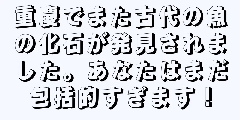 重慶でまた古代の魚の化石が発見されました。あなたはまだ包括的すぎます！