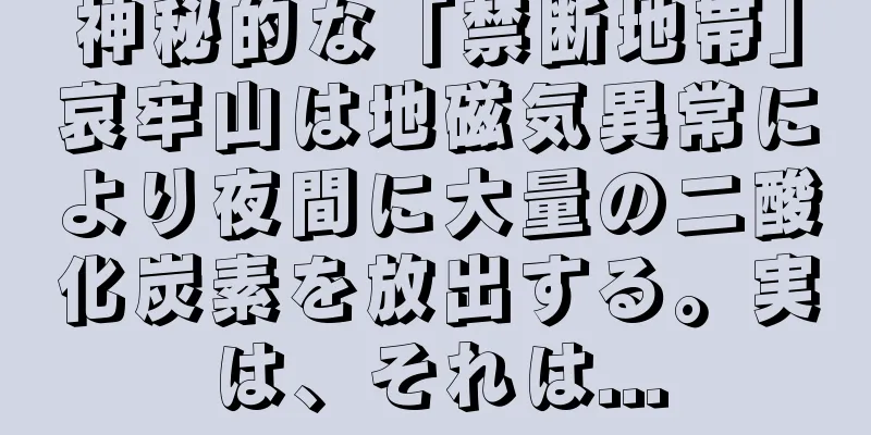 神秘的な「禁断地帯」哀牢山は地磁気異常により夜間に大量の二酸化炭素を放出する。実は、それは...